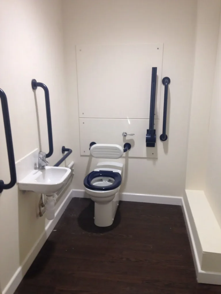 physically challenged toilet 